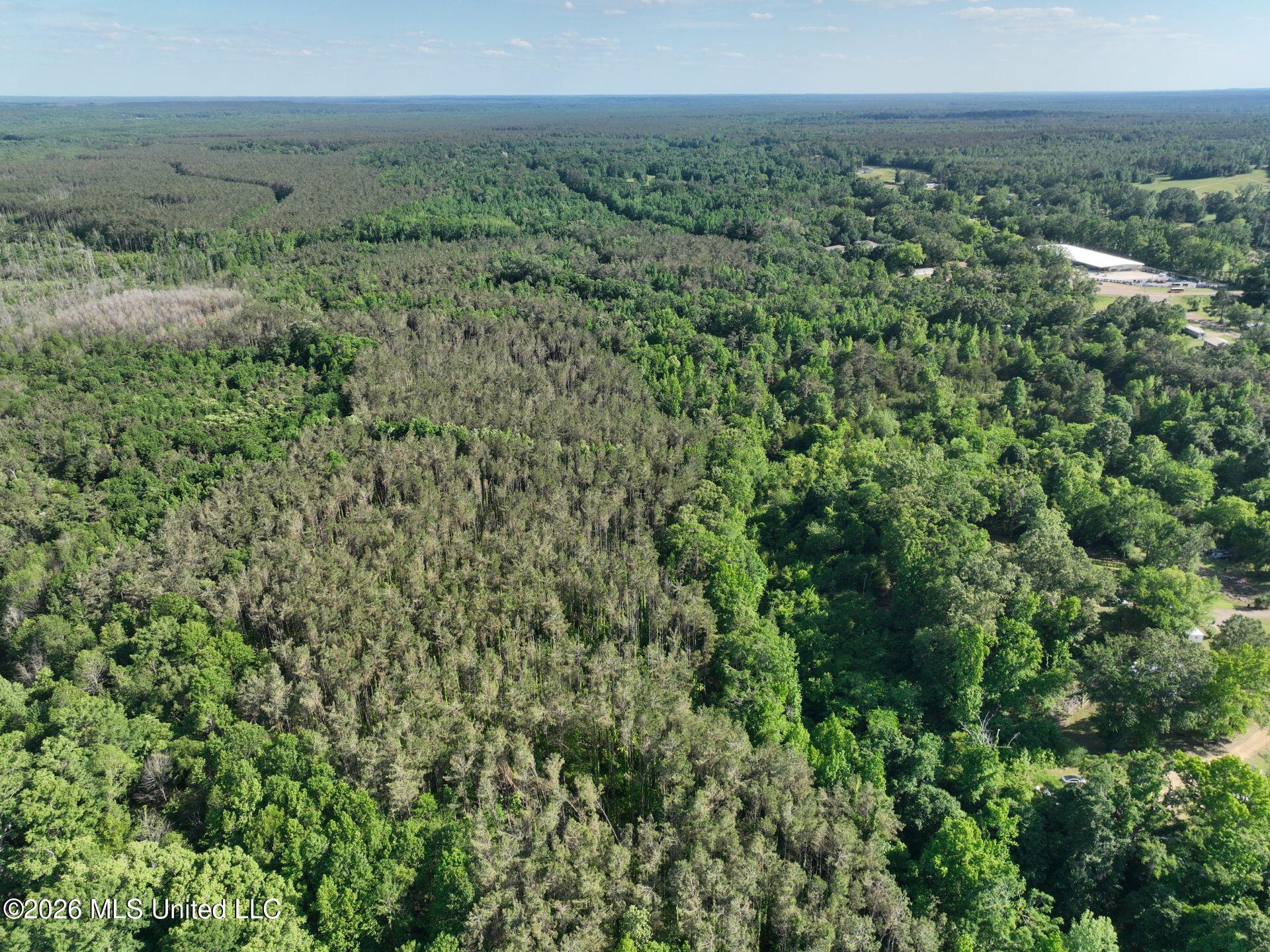 0 Court Street Vaiden, MS 39176 - Photo 11 of 27 DJI_20260505050014_0058_V