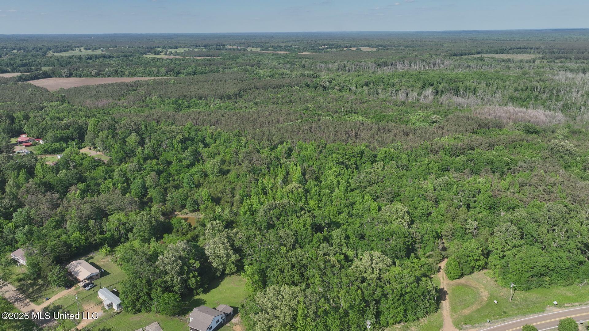 0 Court Street Vaiden, MS 39176 - Photo 15 of 27 DJI_20260505045633_0038_V