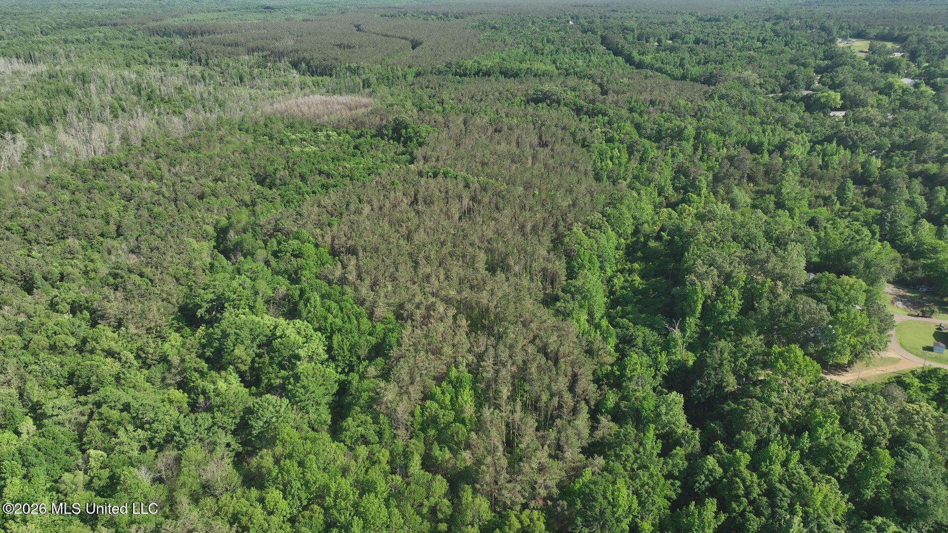 0 Court Street Vaiden, MS 39176 - Photo 22 of 27 DJI_20260505045413_0010_V