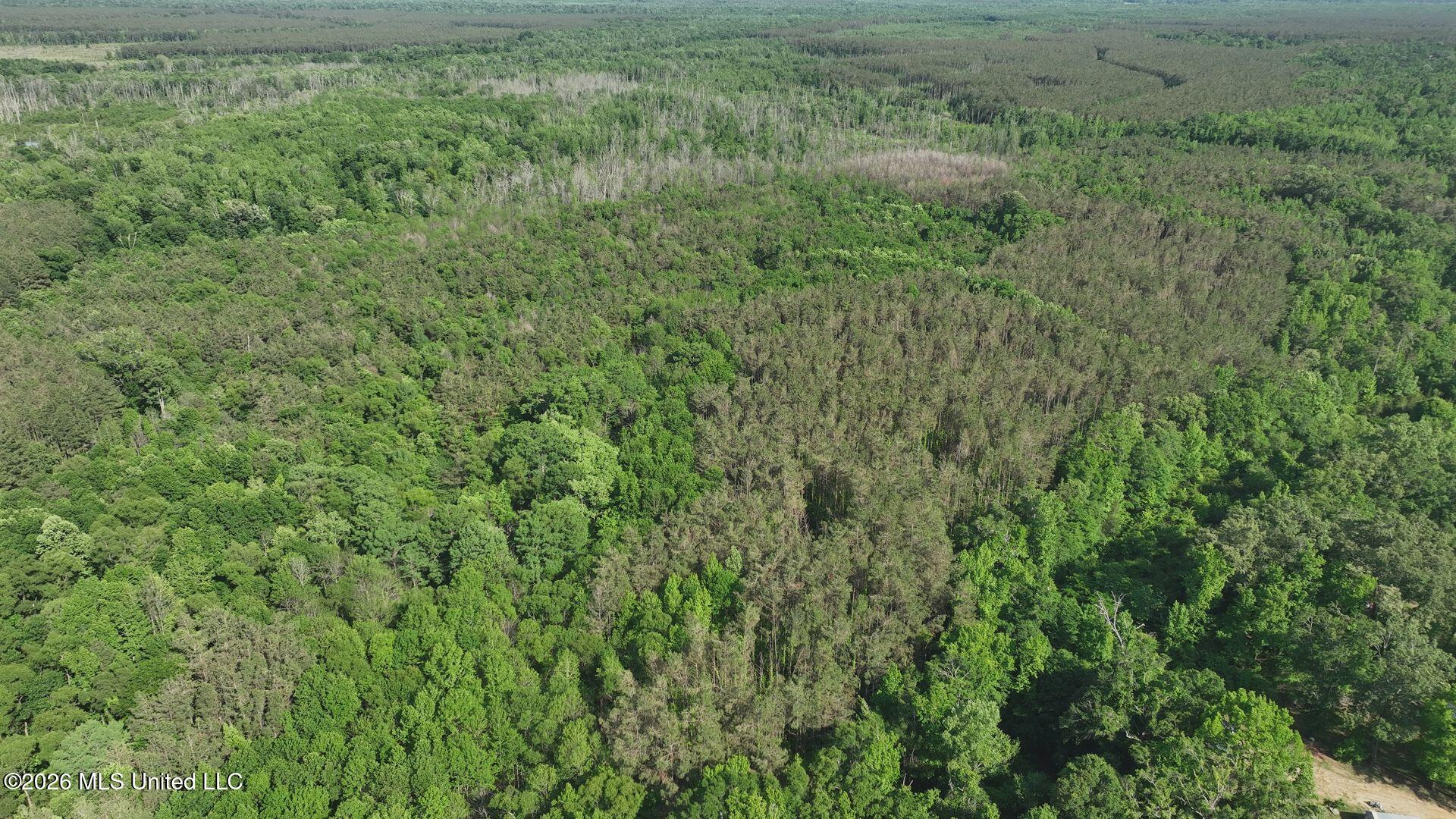 0 Court Street Vaiden, MS 39176 - Photo 24 of 27 DJI_20260505045405_0008_V