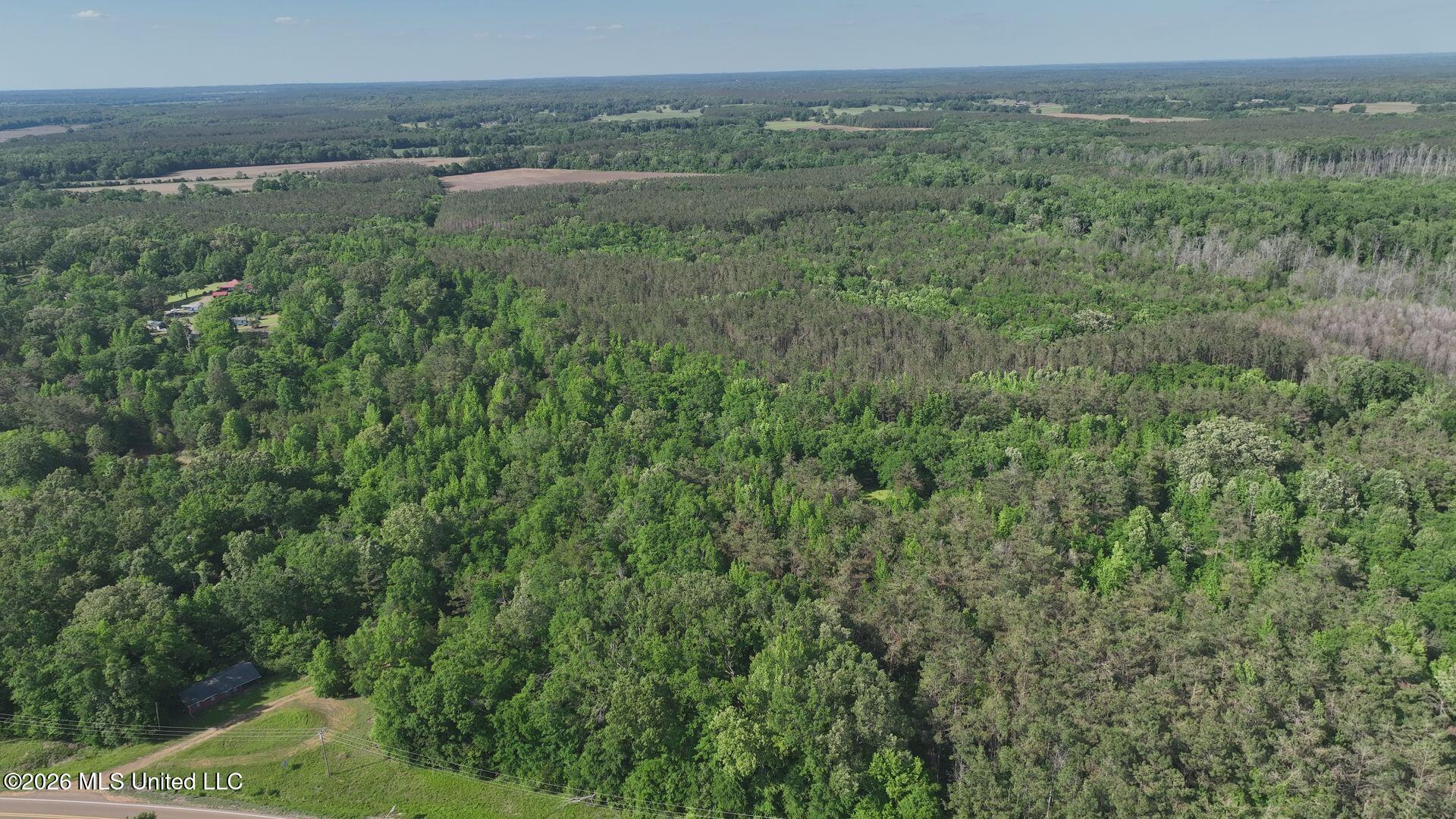0 Court Street Vaiden, MS 39176 - Photo 4 of 27 DJI_20260505045613_0033_V