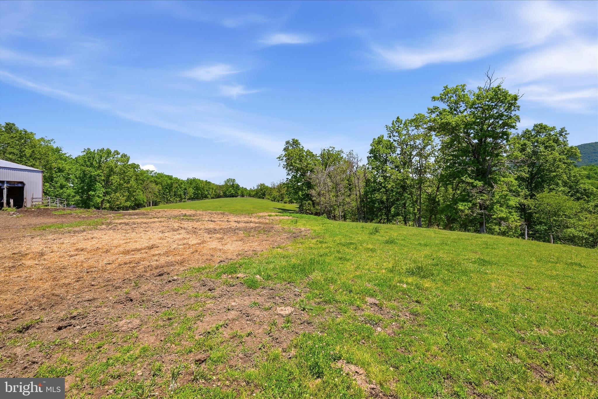 1909 Spohrs Road Berkeley Springs, WV 25411 - Photo 63 of 87 Field