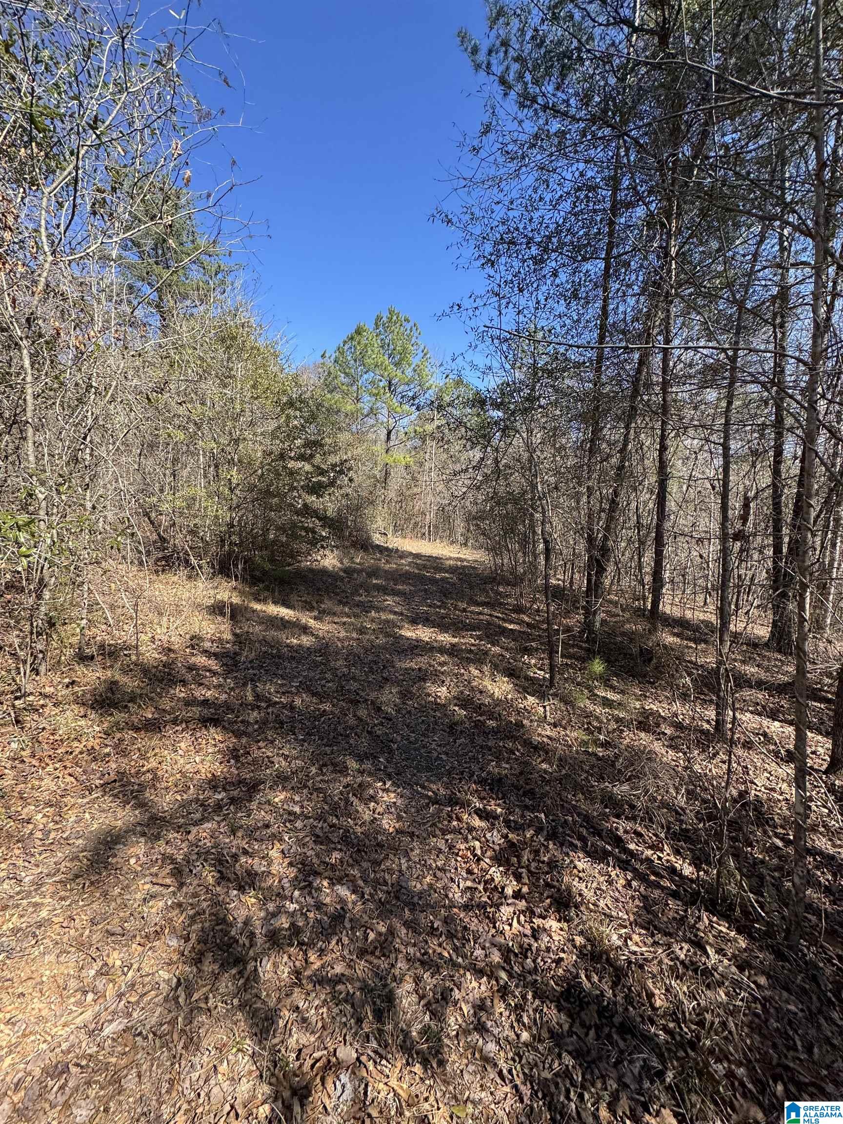 19075 Westside Road, Unit 5 Brookwood, AL 35444 - Photo 5 of 21