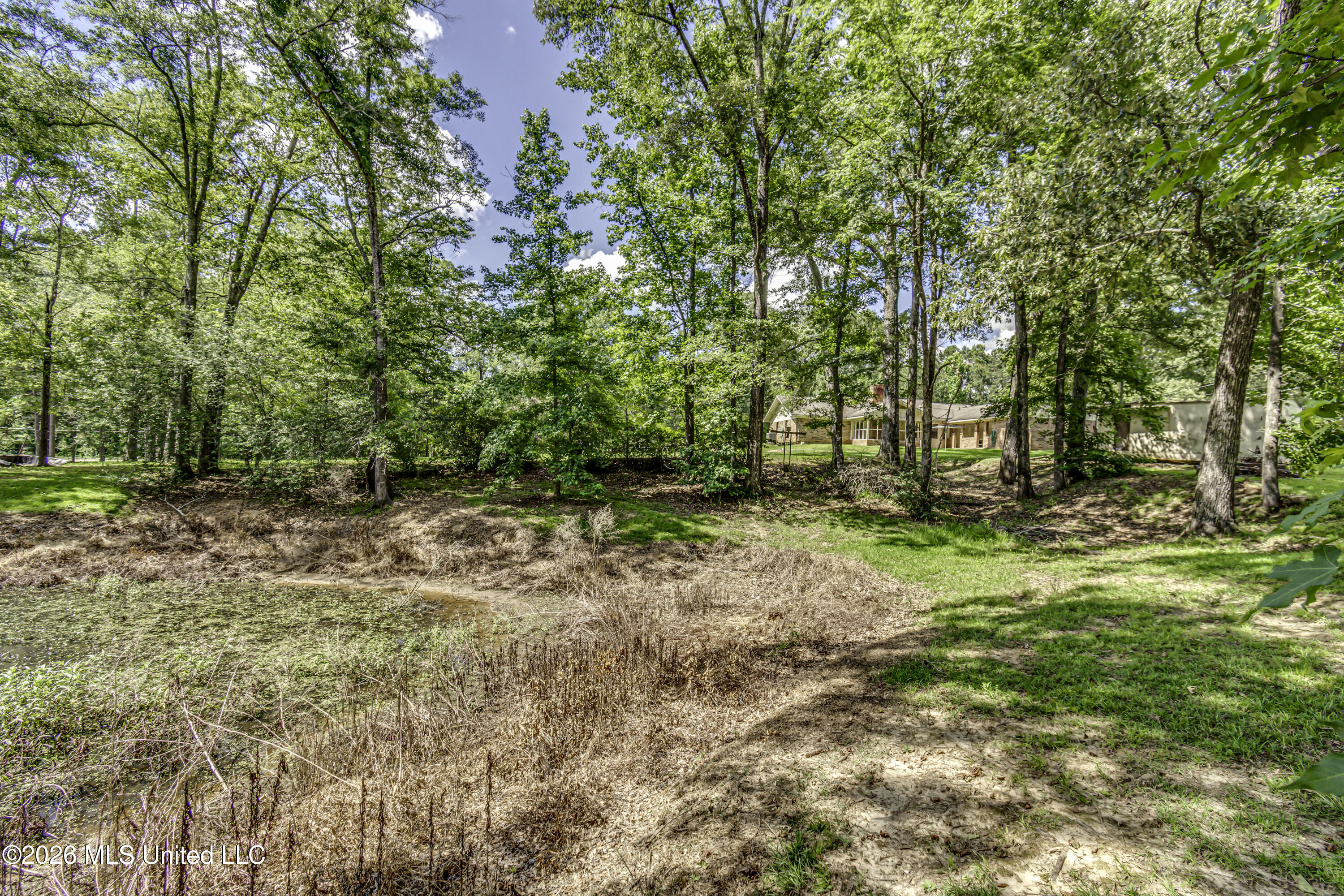 4151 Kimbell Road Terry, MS 39170 - Photo 59 of 65 4151 Kimbell Rd--17