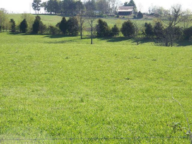 0 Frog Pond Cemetery Road Lafayette, TN 37083 - Photo 4 of 6