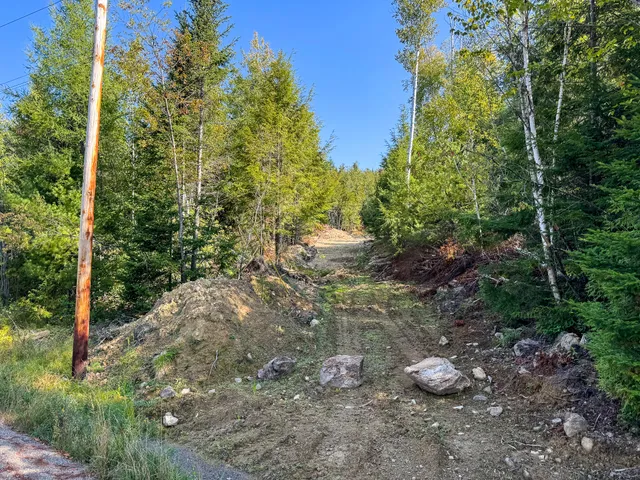$28,900 | P/o Lot 6 P/o Road, Calais, ME 04619