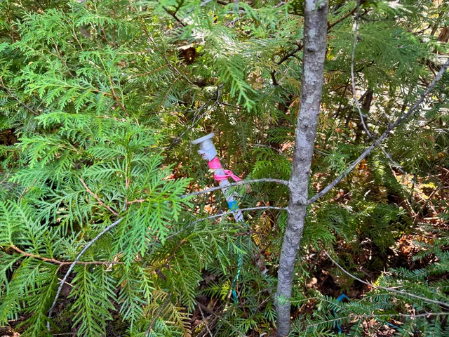 $28,900 | P/o Lot 6 P/o Road, Calais, ME 04619