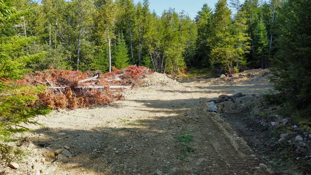 $28,900 | P/o Lot 6 P/o Road, Calais, ME 04619