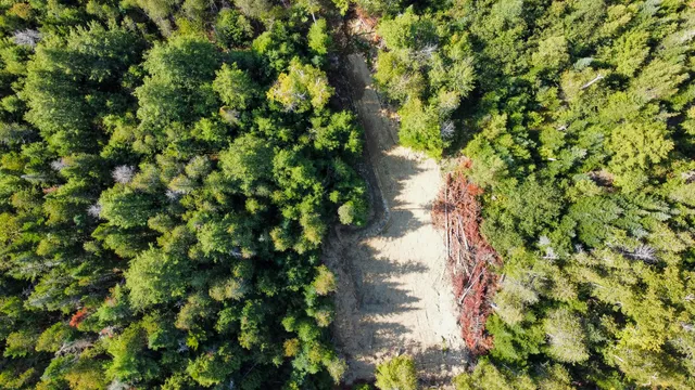 $28,900 | P/o Lot 6 P/o Road, Calais, ME 04619