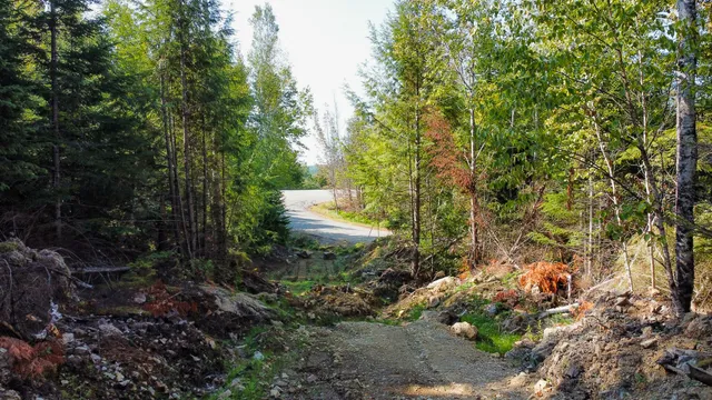 $28,900 | P/o Lot 6 P/o Road, Calais, ME 04619