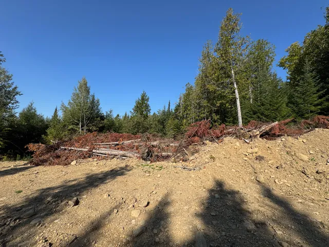 $28,900 | P/o Lot 6 P/o Road, Calais, ME 04619