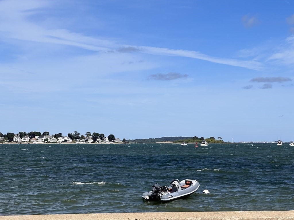 10 Sachem Road Weymouth, MA 02191 - Photo 1 of 19 a view of lake with trees