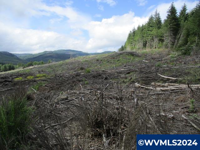 0 Northwest Fairdale Road Yamhill, OR 97148 - Photo 20 of 27