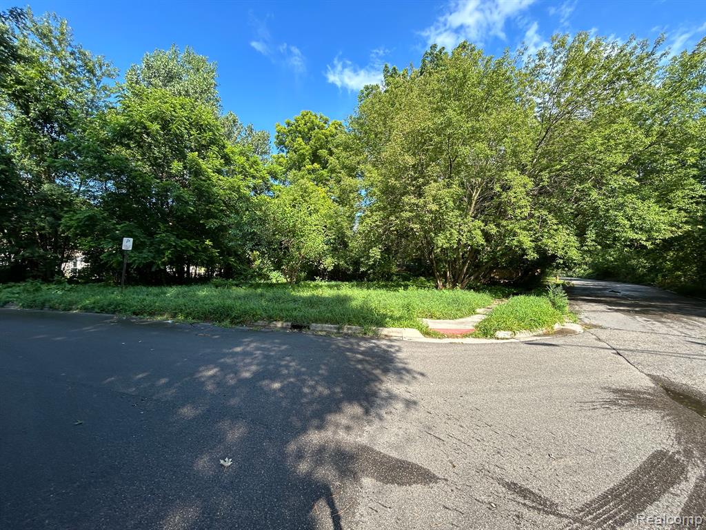 0 South Merrimac Street Pontiac, MI 48340 - Photo 2 of 14