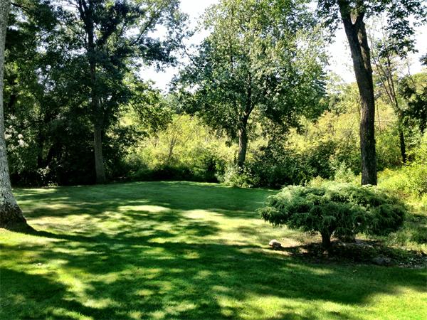 10 Colonial Road Wilbraham, MA 01095 - Photo 21 of 22 a view of a park