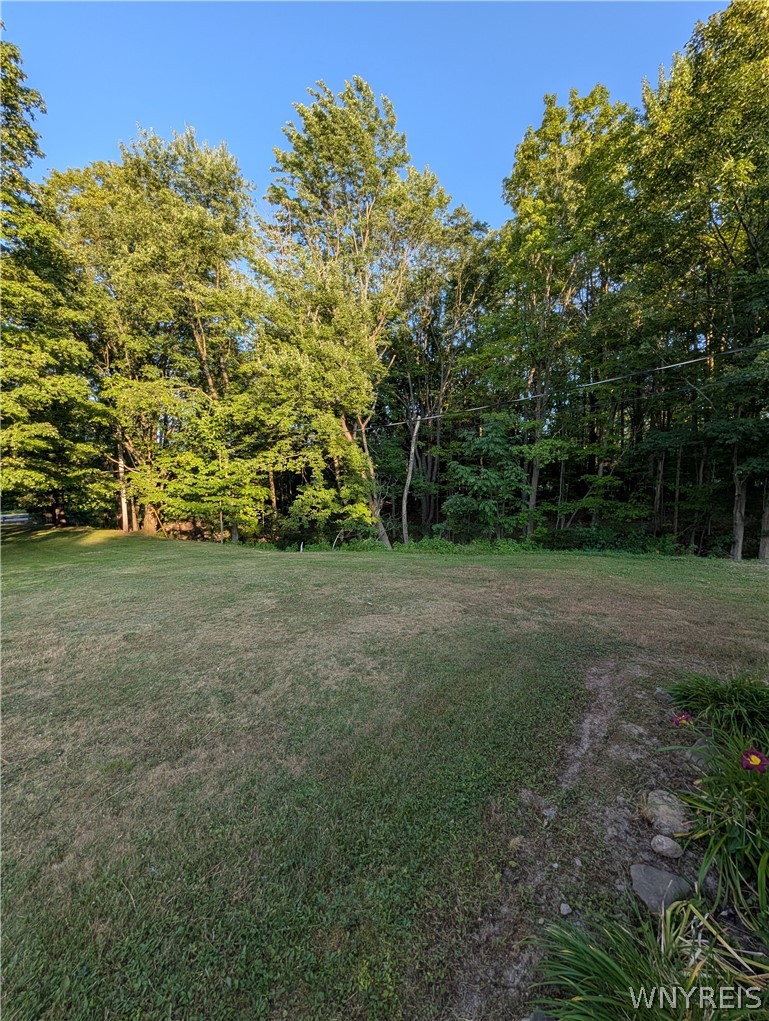 7236 Lower East Hill Road Boston, NY 14033 - Photo 24 of 26
