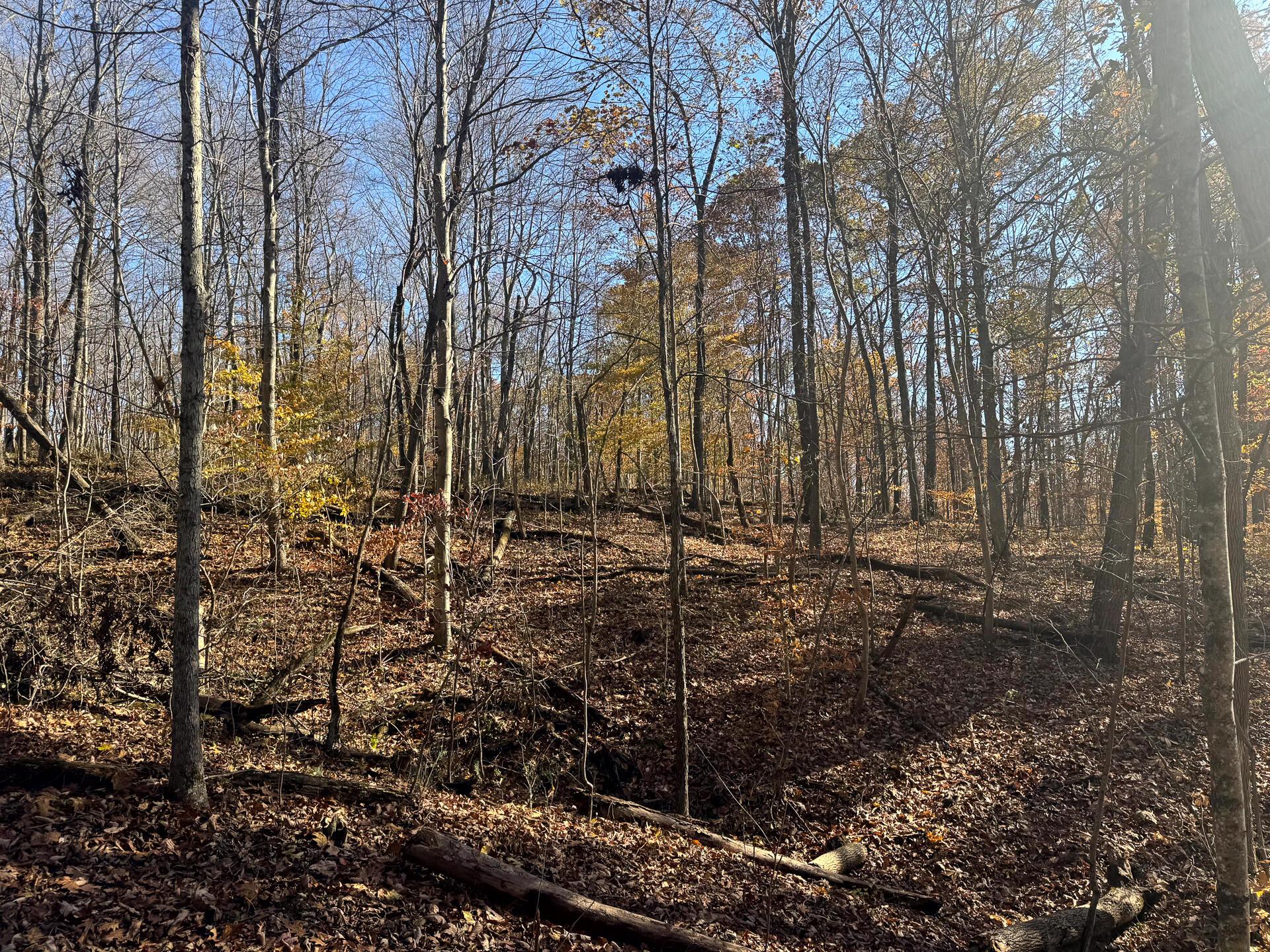 680 Nibert Road, Unit PONDS POPLAR RIDGE TRACT 10) Gallipolis, OH 45631 - Photo 13 of 46 CT-13
