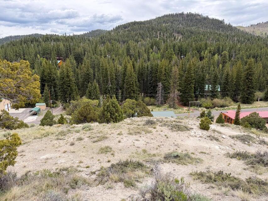 69 Forest Garden Hatch, UT 84735 - Photo 8 of 20 Lot 69 Forest Garden