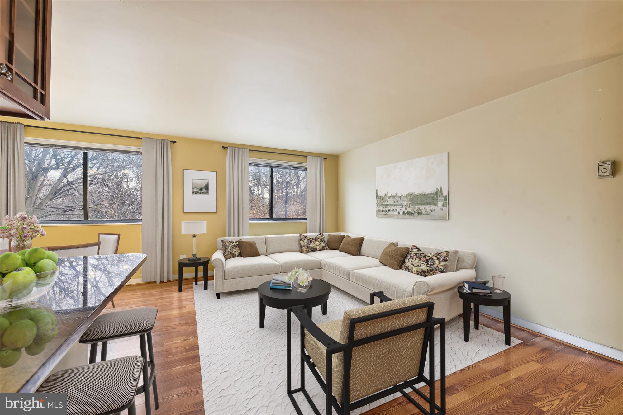 8601 Manchester Road, Unit 313 Silver Spring, MD 20901 - Photo 14 of 87 Living Room w/updated wood style floors