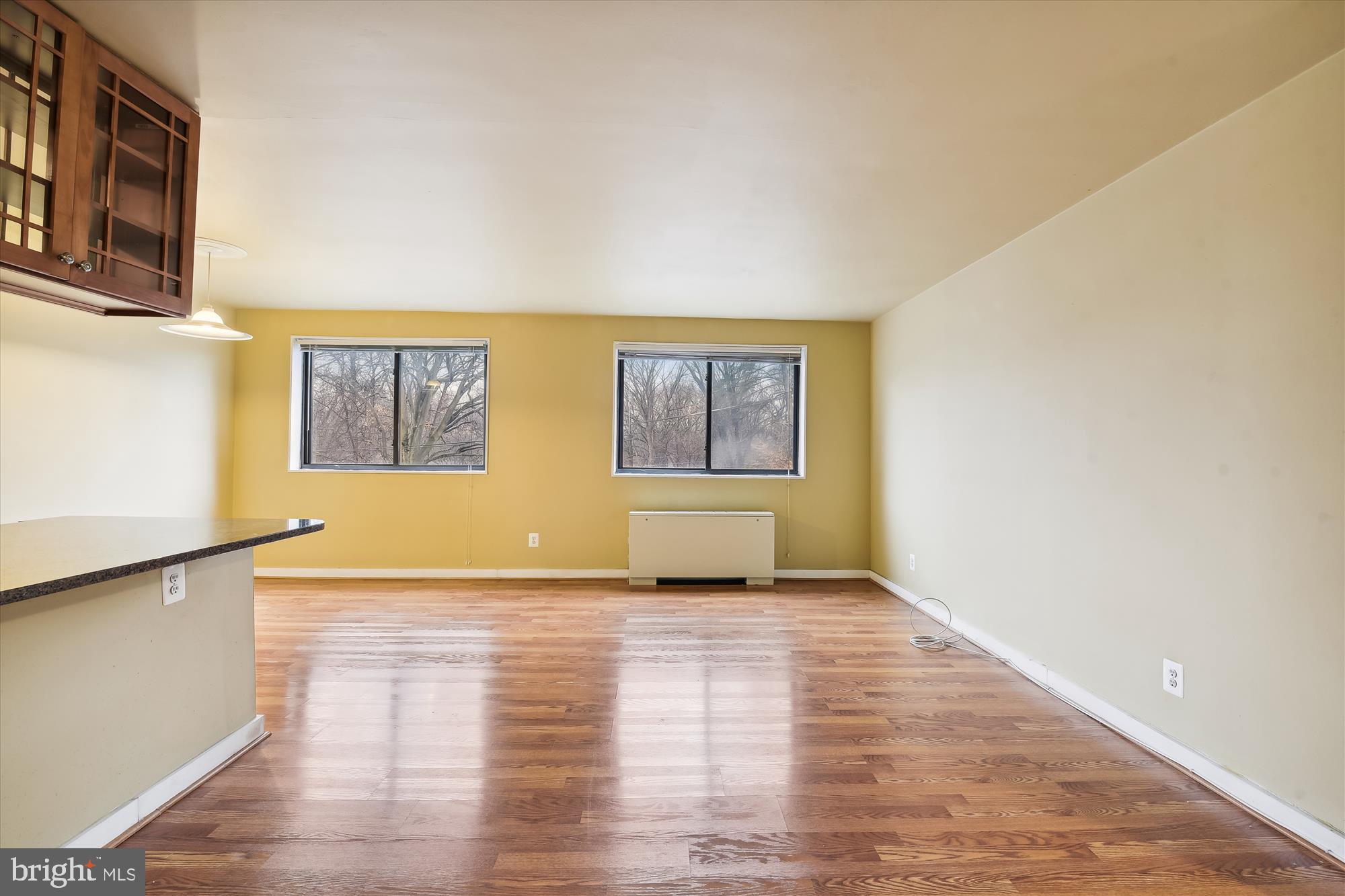 8601 Manchester Road, Unit 313 Silver Spring, MD 20901 - Photo 15 of 87 Living Room w/updated wood styke floors