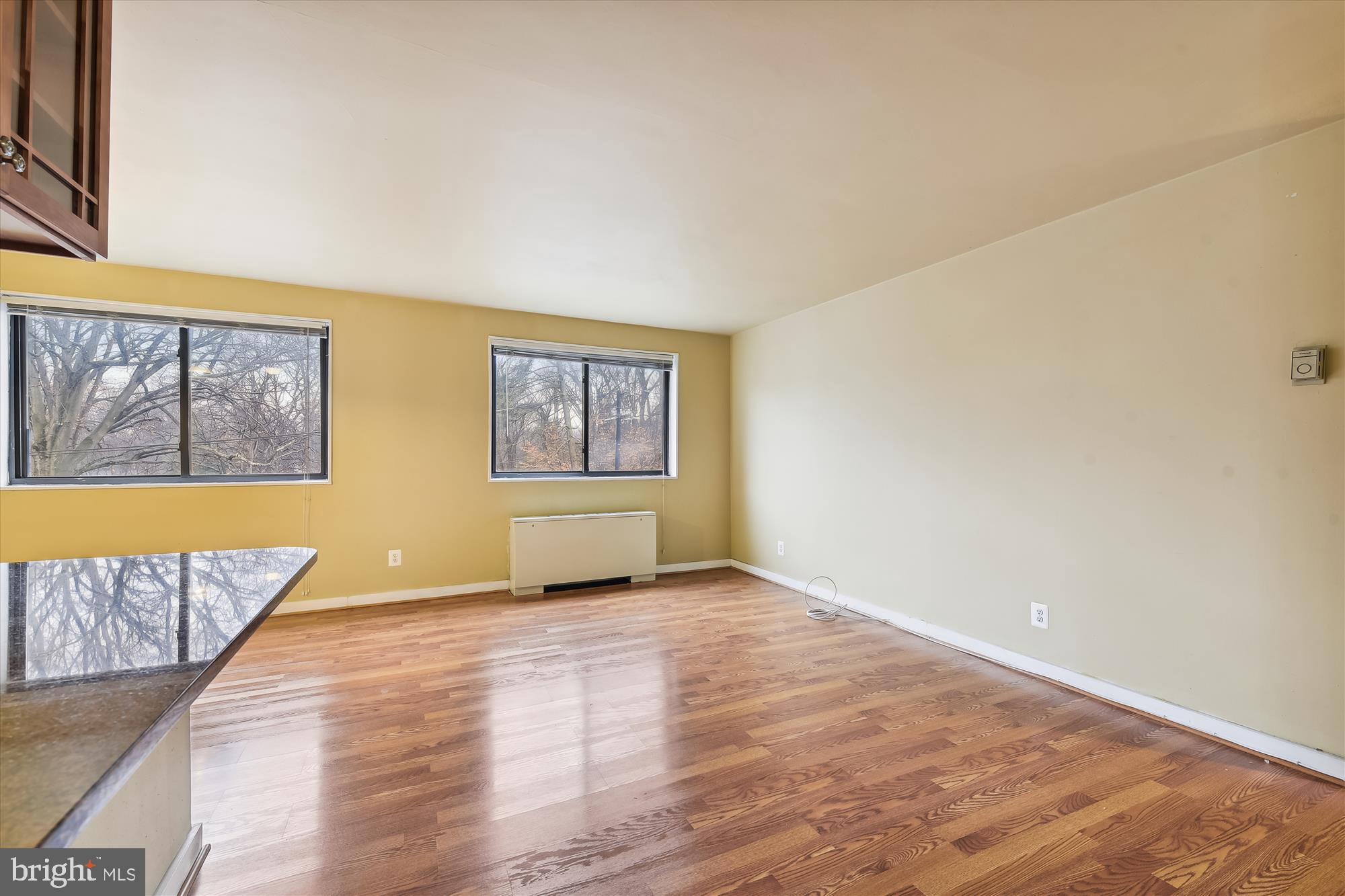8601 Manchester Road, Unit 313 Silver Spring, MD 20901 - Photo 16 of 87 Living Room w/kitchen granite counter on left