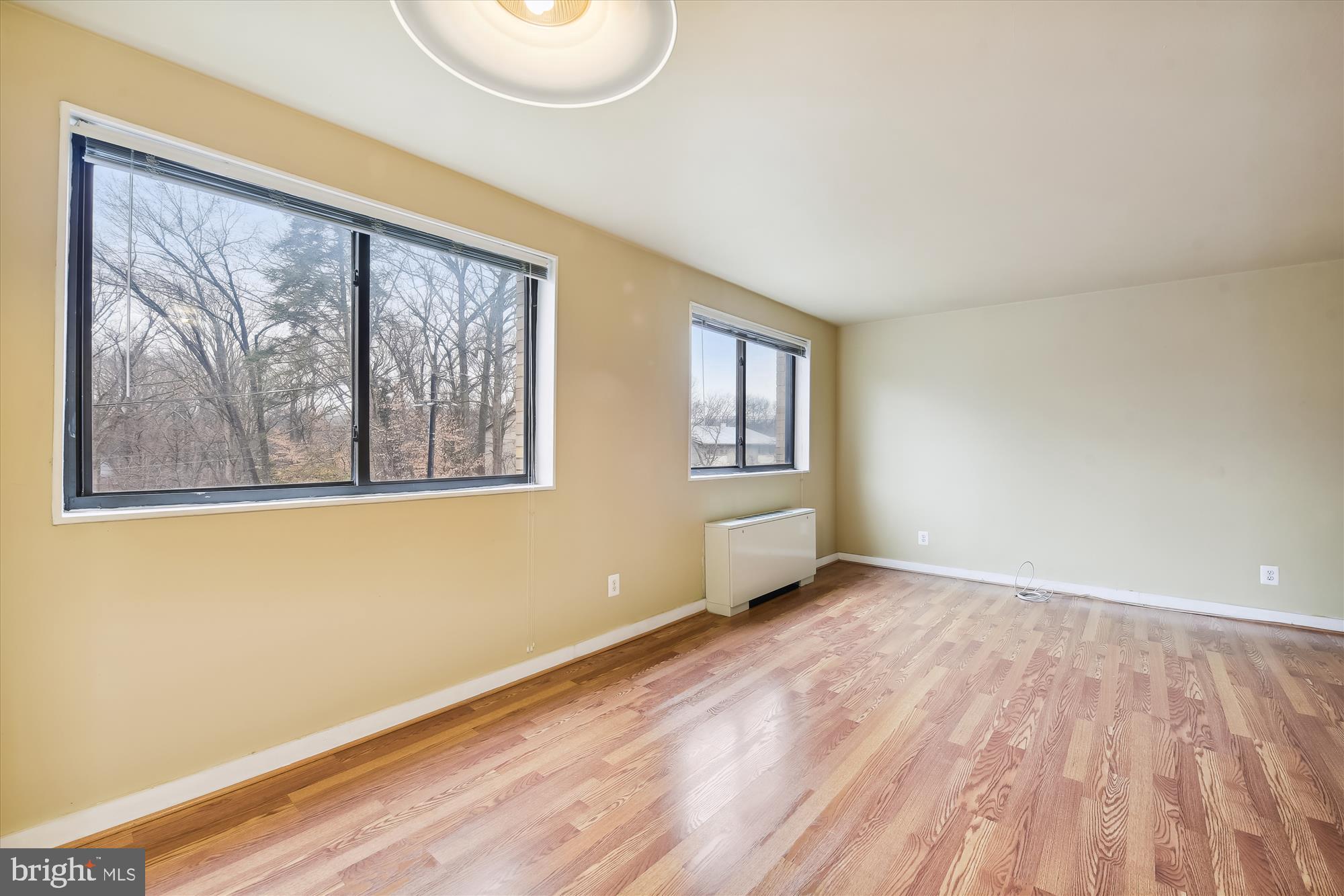 8601 Manchester Road, Unit 313 Silver Spring, MD 20901 - Photo 17 of 87 Living Room-bright w/south facing windows