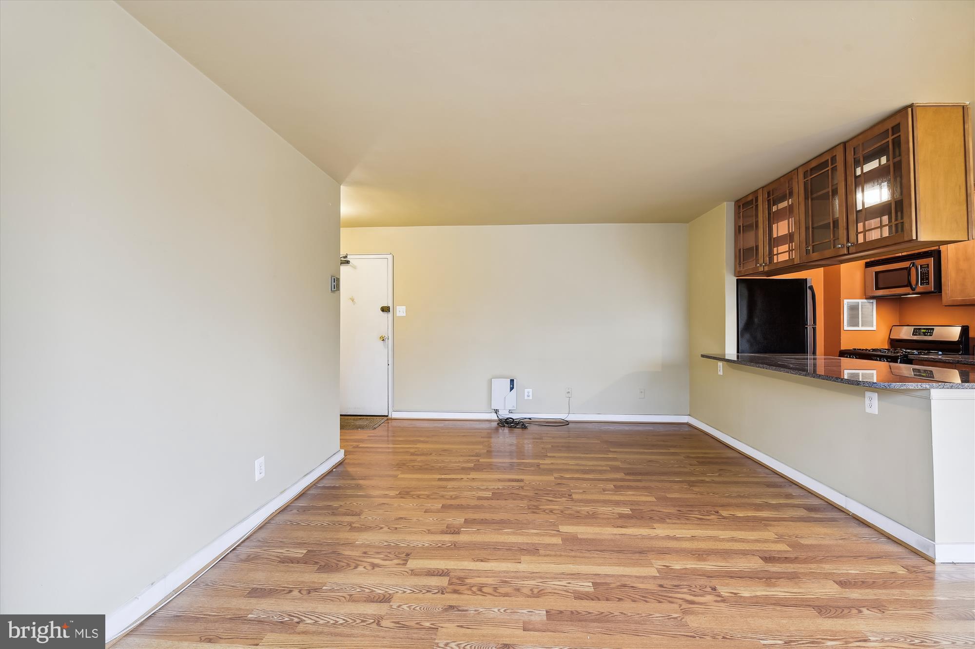 8601 Manchester Road, Unit 313 Silver Spring, MD 20901 - Photo 19 of 87 Living Room