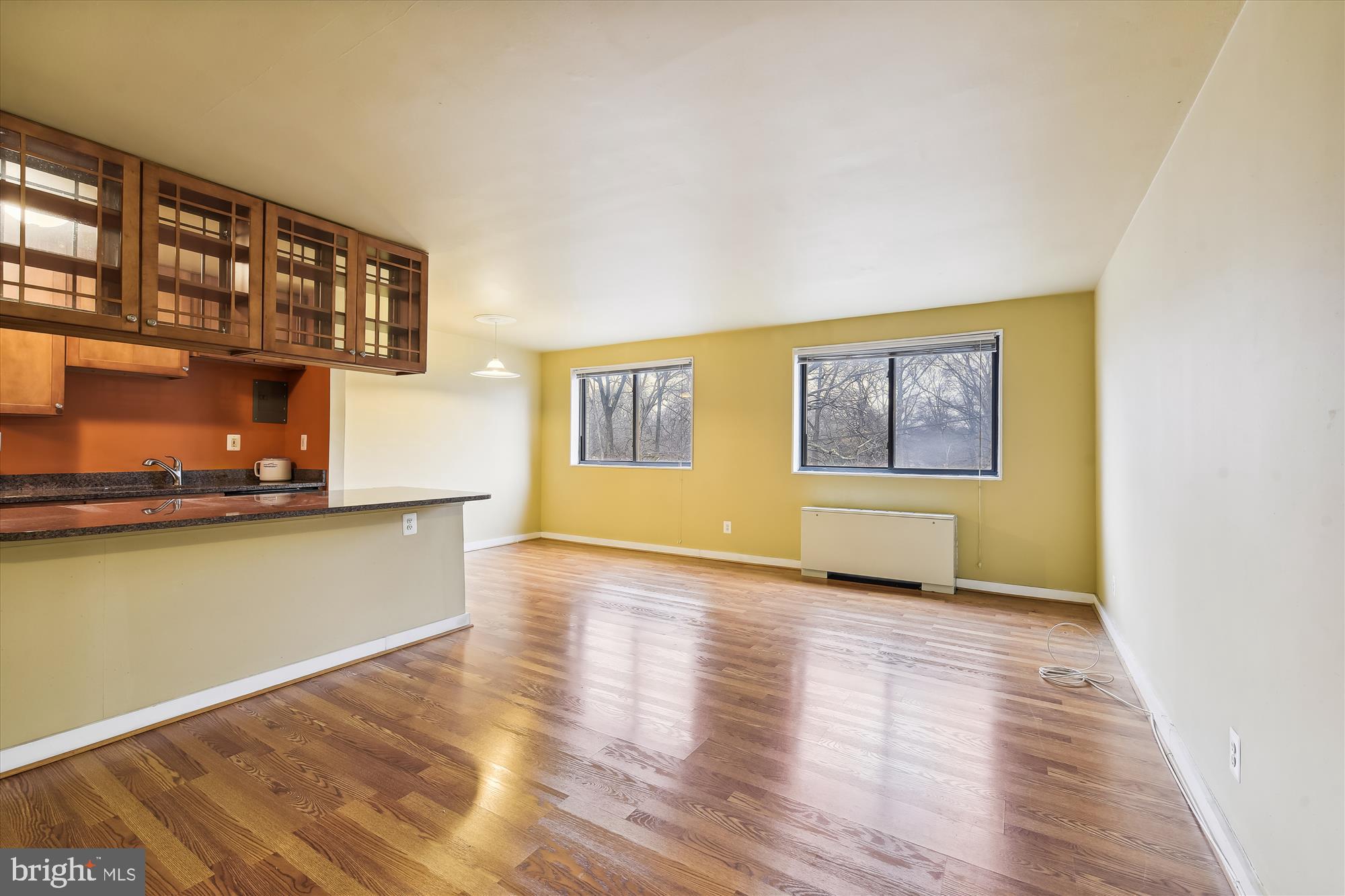 8601 Manchester Road, Unit 313 Silver Spring, MD 20901 - Photo 20 of 87 Living Rm - showing 2 sided glass fronted cabinets