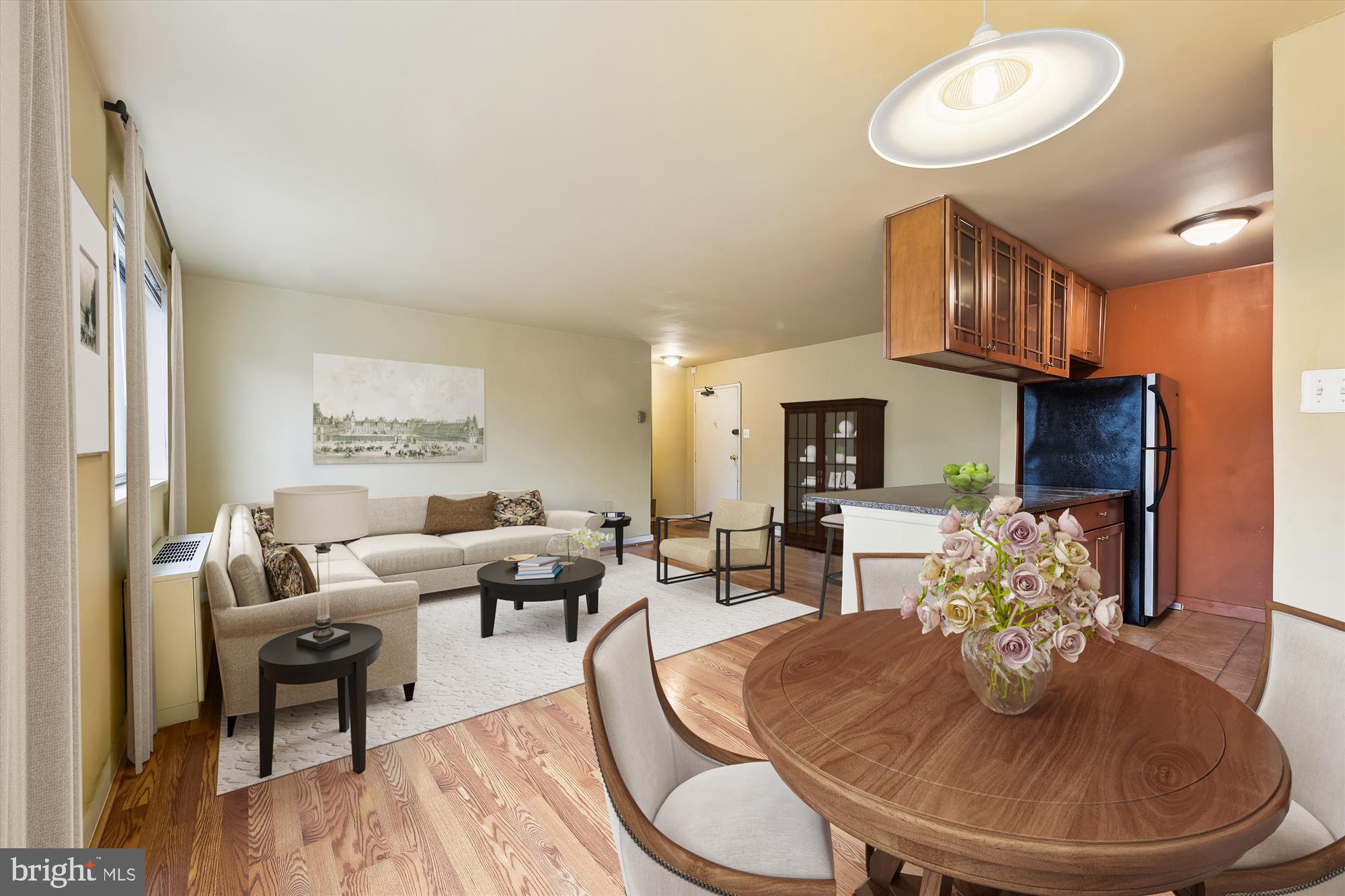 8601 Manchester Road, Unit 313 Silver Spring, MD 20901 - Photo 21 of 87 LR from dining area - some photos virtually staged
