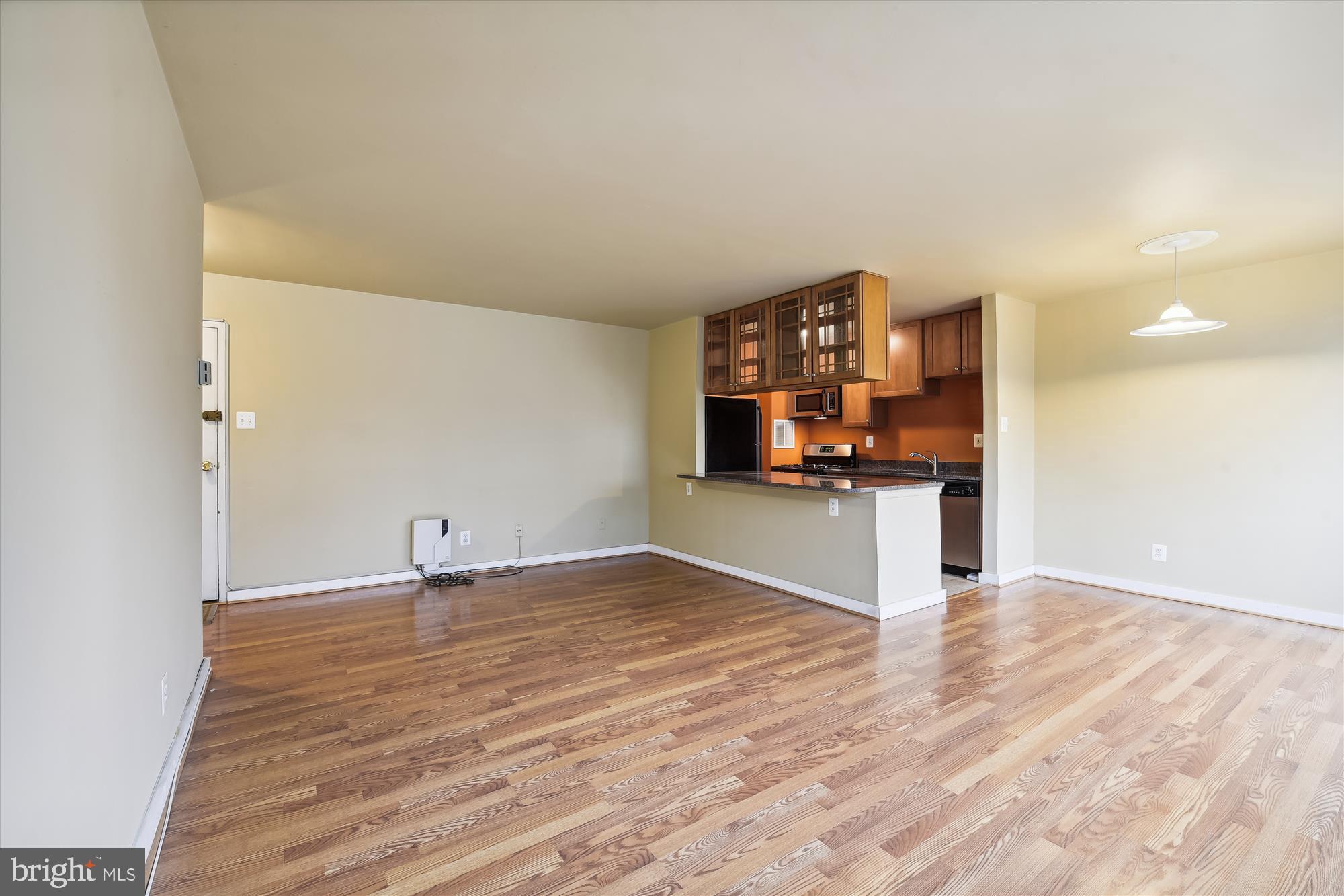 8601 Manchester Road, Unit 313 Silver Spring, MD 20901 - Photo 22 of 87 Living Room w/open plan updated kitchen