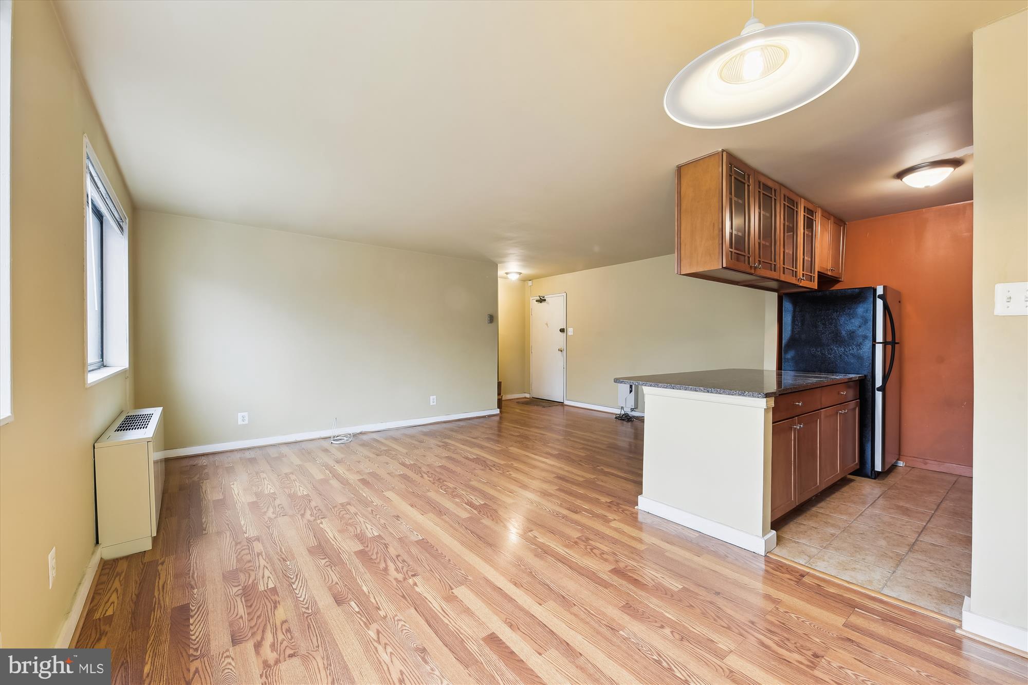 8601 Manchester Road, Unit 313 Silver Spring, MD 20901 - Photo 23 of 87 Living Room from dining area