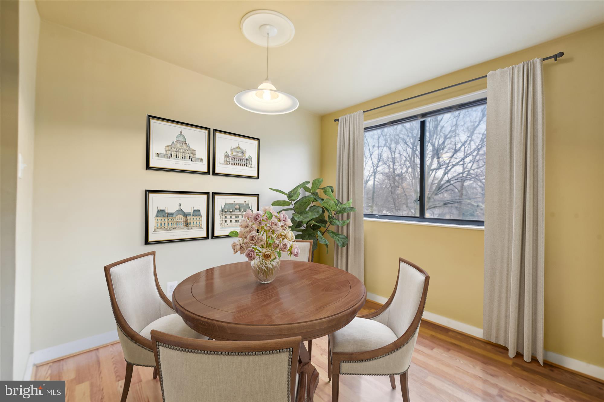 8601 Manchester Road, Unit 313 Silver Spring, MD 20901 - Photo 24 of 87 Bright Dining Area w/wood style floors