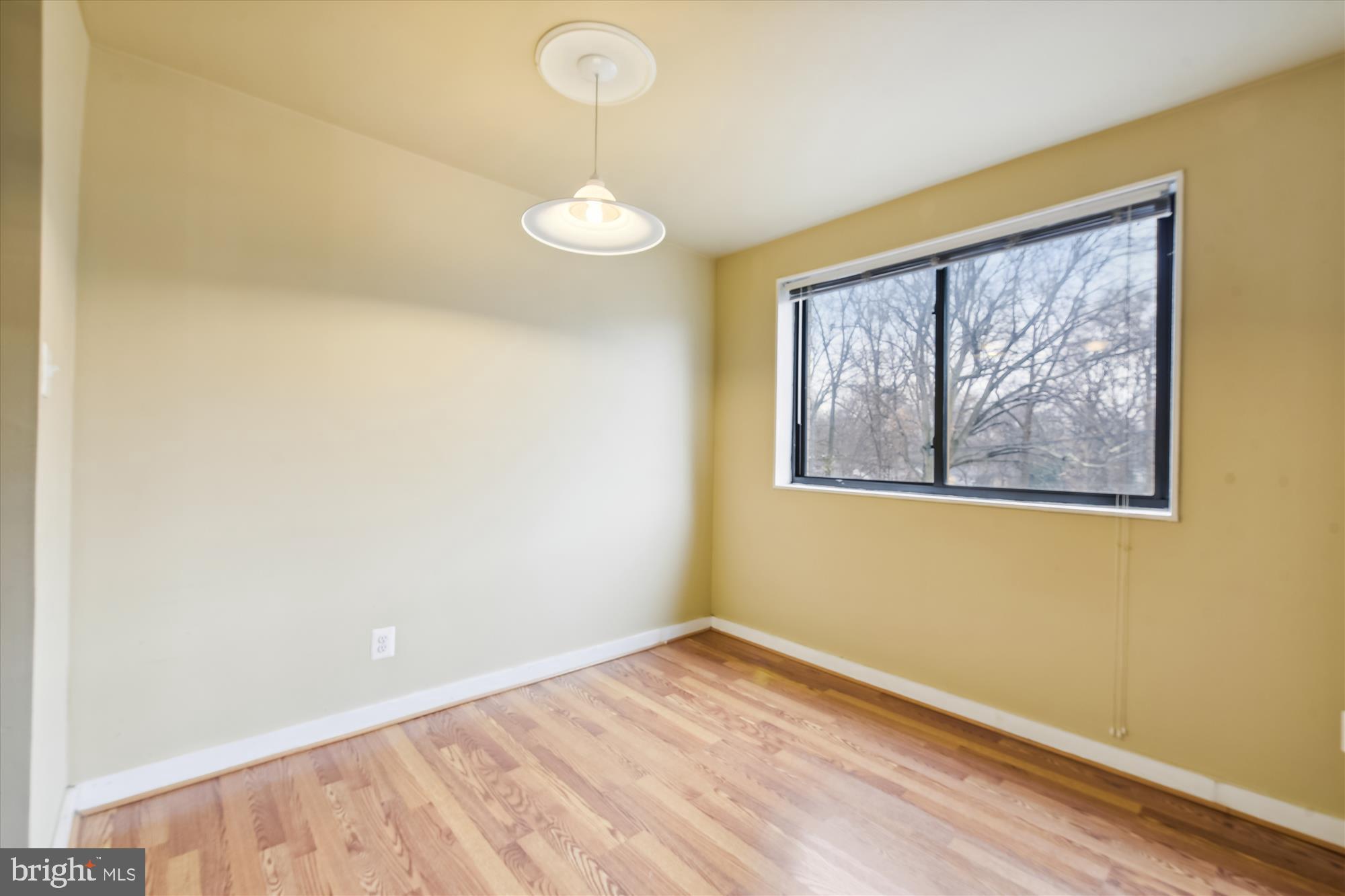 8601 Manchester Road, Unit 313 Silver Spring, MD 20901 - Photo 26 of 87 Bright Dining Area w/wood style floors