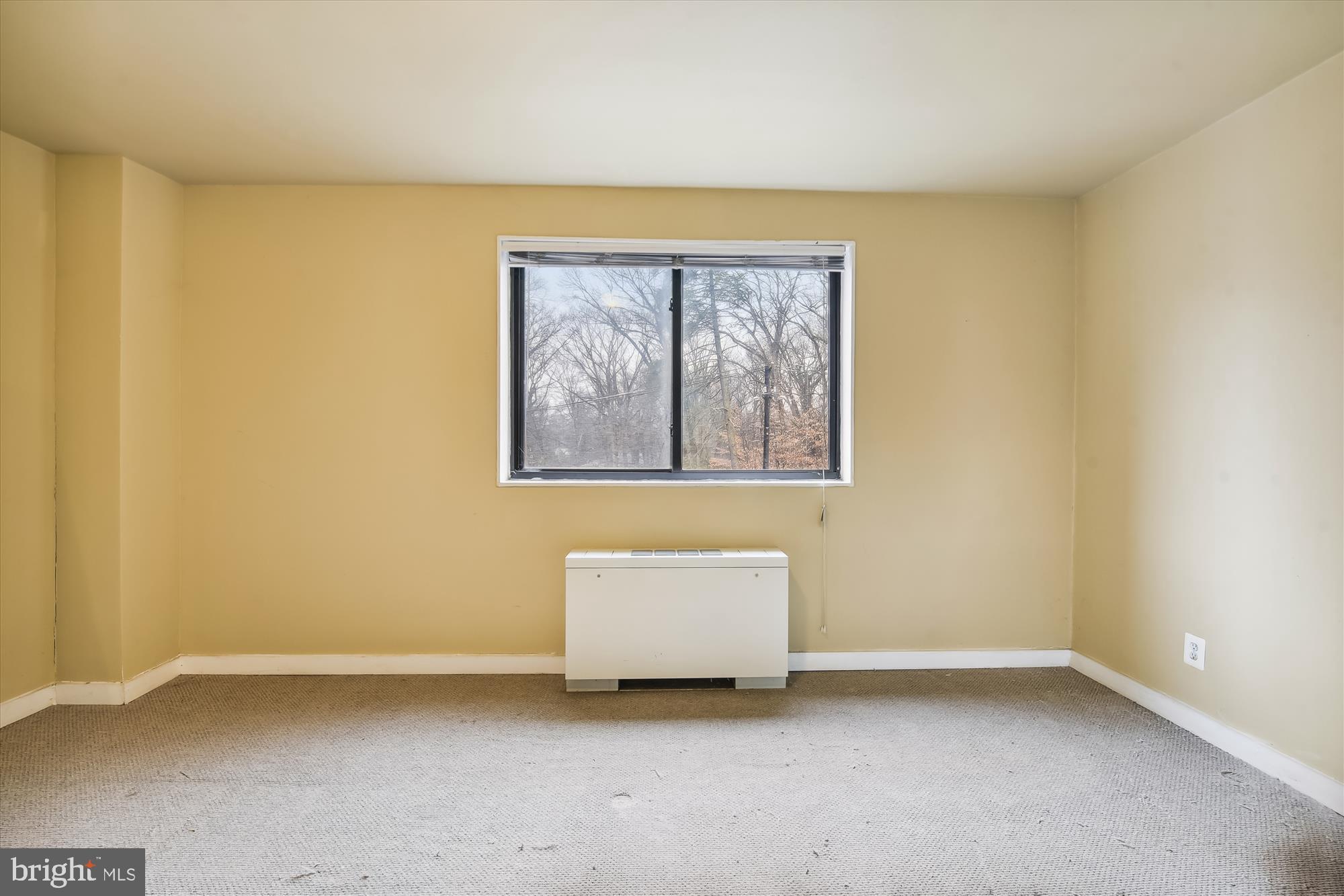 8601 Manchester Road, Unit 313 Silver Spring, MD 20901 - Photo 32 of 87 Bedroom w/big south facing window