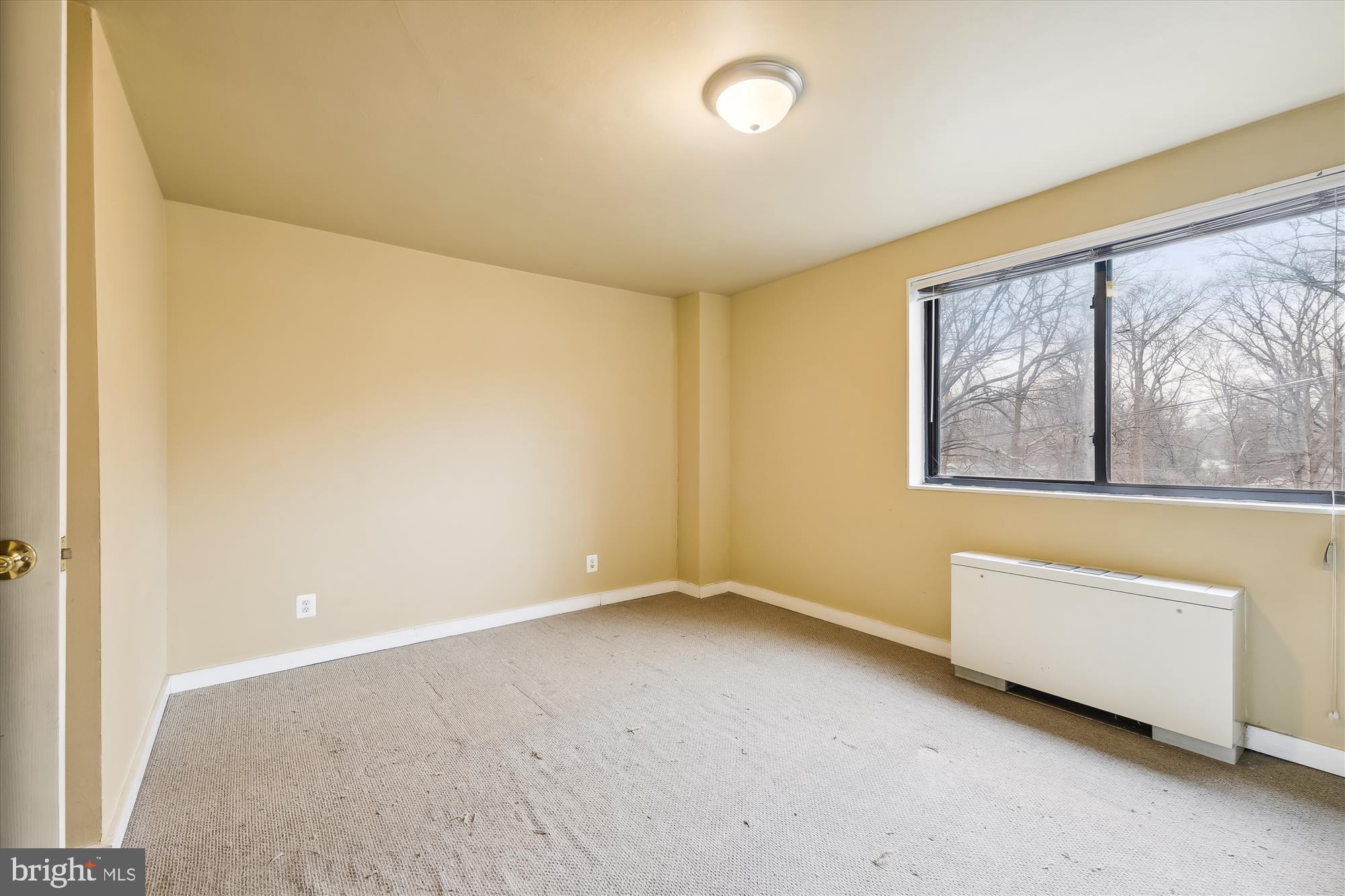 8601 Manchester Road, Unit 313 Silver Spring, MD 20901 - Photo 33 of 87 Primary Bedroom - plenty of room for Queen or King