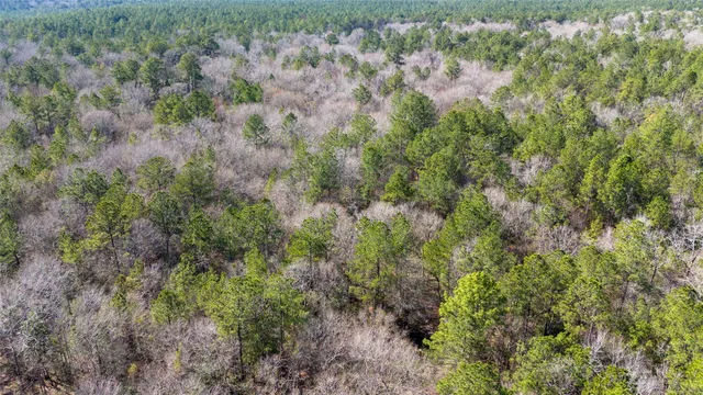 $375,000 | 0 Whispering Pines Drive, Lumberton, TX 77657