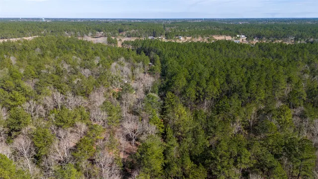 $375,000 | 0 Whispering Pines Drive, Lumberton, TX 77657
