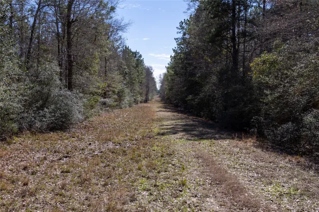 $375,000 | 0 Whispering Pines Drive, Lumberton, TX 77657