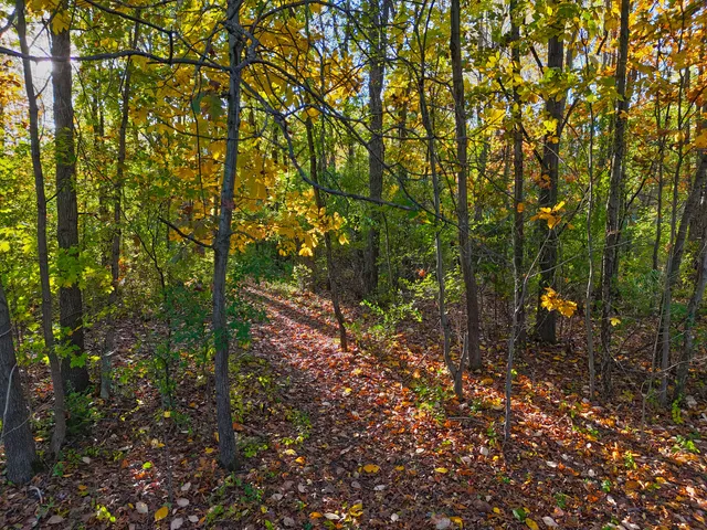 $529,900 | 33262 56th Avenue, Paw Paw, MI 49079