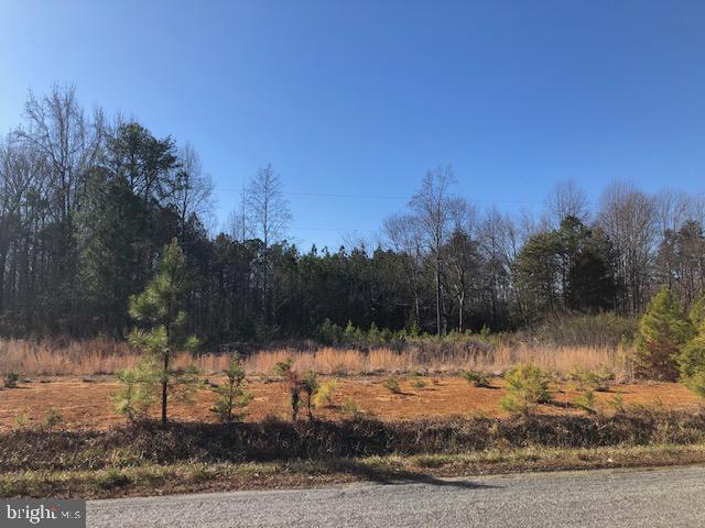 28308 Signboard Road Ruther Glen, VA 22546 - Photo 3 of 5 Gallery Image 3