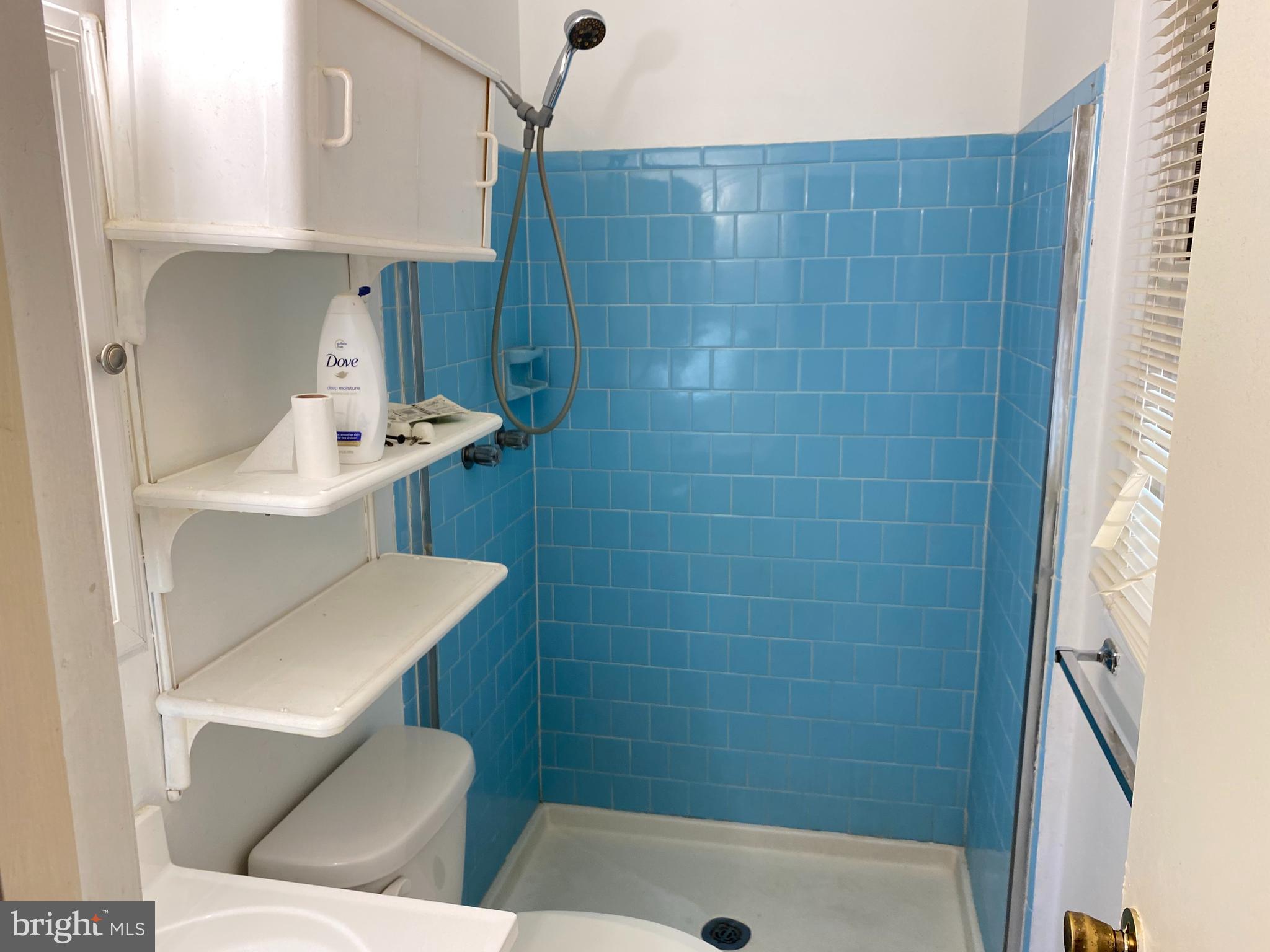 712 Kent Avenue Baltimore, MD 21228 - Photo 14 of 30 Master Bathroom