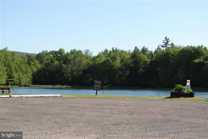 Lot 130 Pocono Road Albrightsville, PA 18210 - Photo 3 of 26