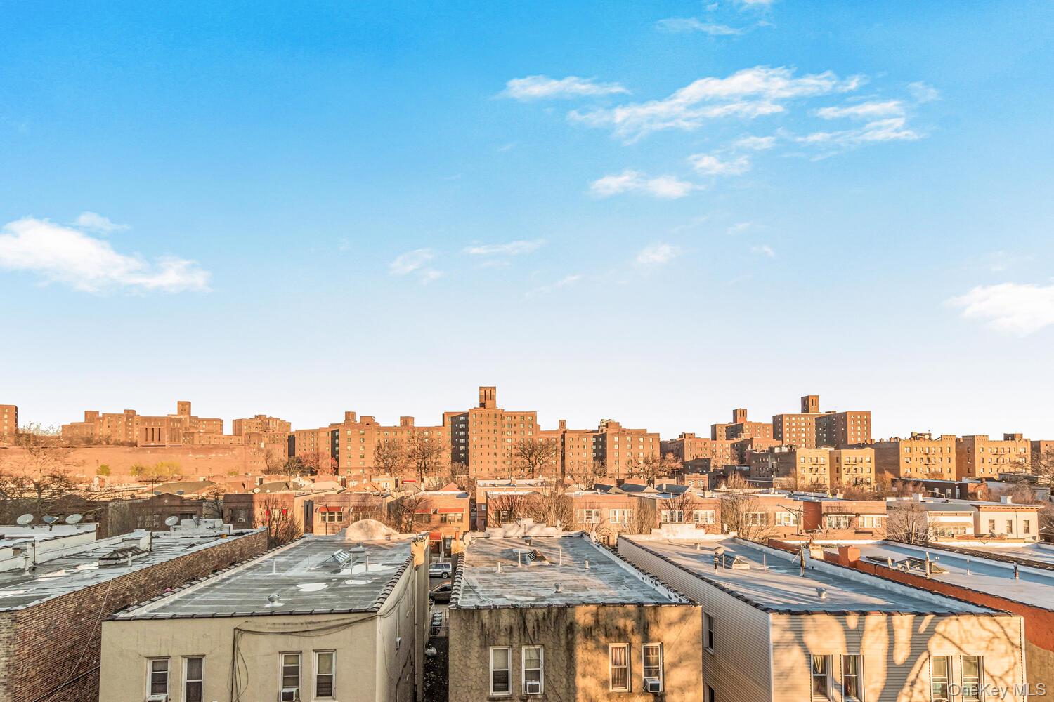 1430 Thieriot Avenue, Unit 6J Bronx, NY 10460 - Photo 12 of 15 View of city skyline