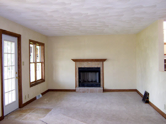 7420 Montague Road German Valley, IL 61039 - Photo 3 of 5 an empty room with windows and fireplace
