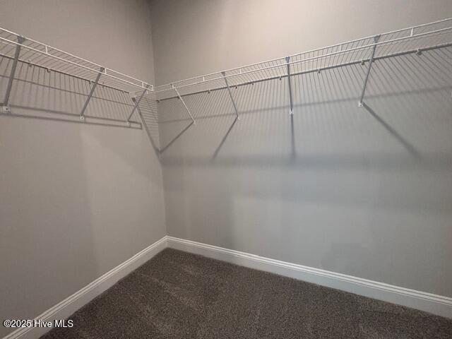 188 Cherry Laurel Drive Wallace, NC 28466 - Photo 17 of 31 Primary Closet