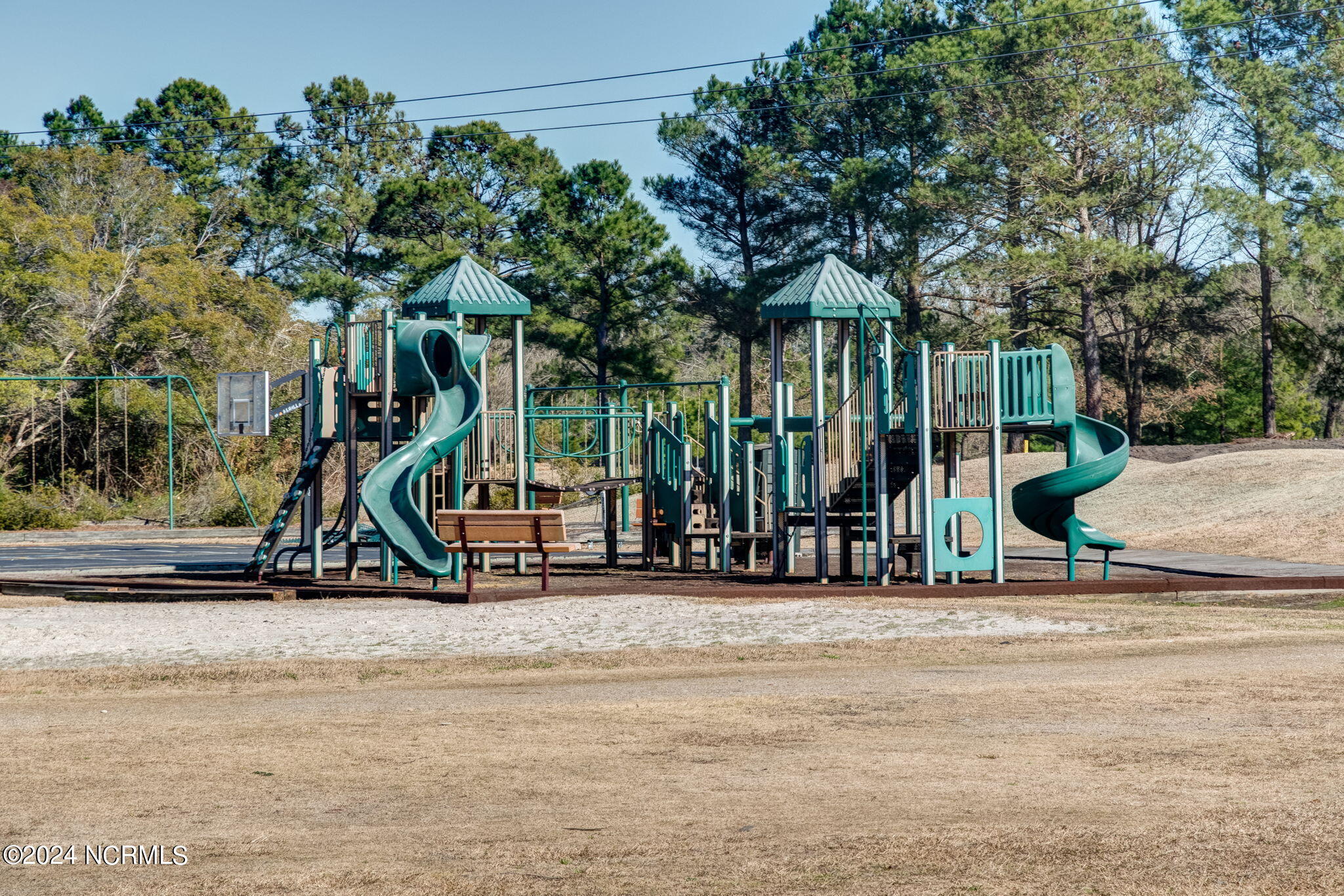 188 Cherry Laurel Drive Wallace, NC 28466 - Photo 28 of 31 Playground
