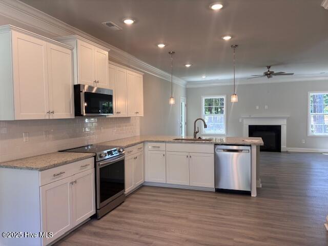 188 Cherry Laurel Drive Wallace, NC 28466 - Photo 6 of 31 Kitchen