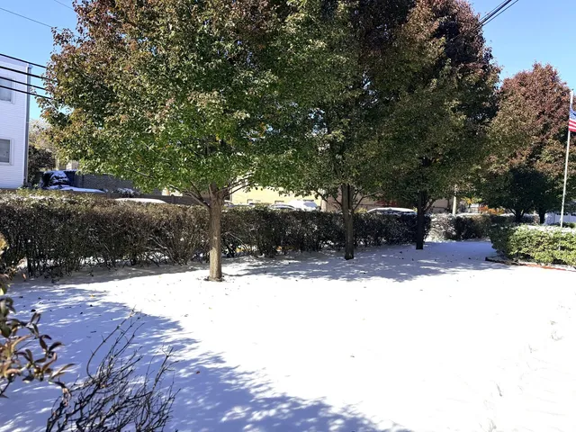 $1,500 | 8440 Skokie Boulevard, Unit 103, Skokie, IL 60077