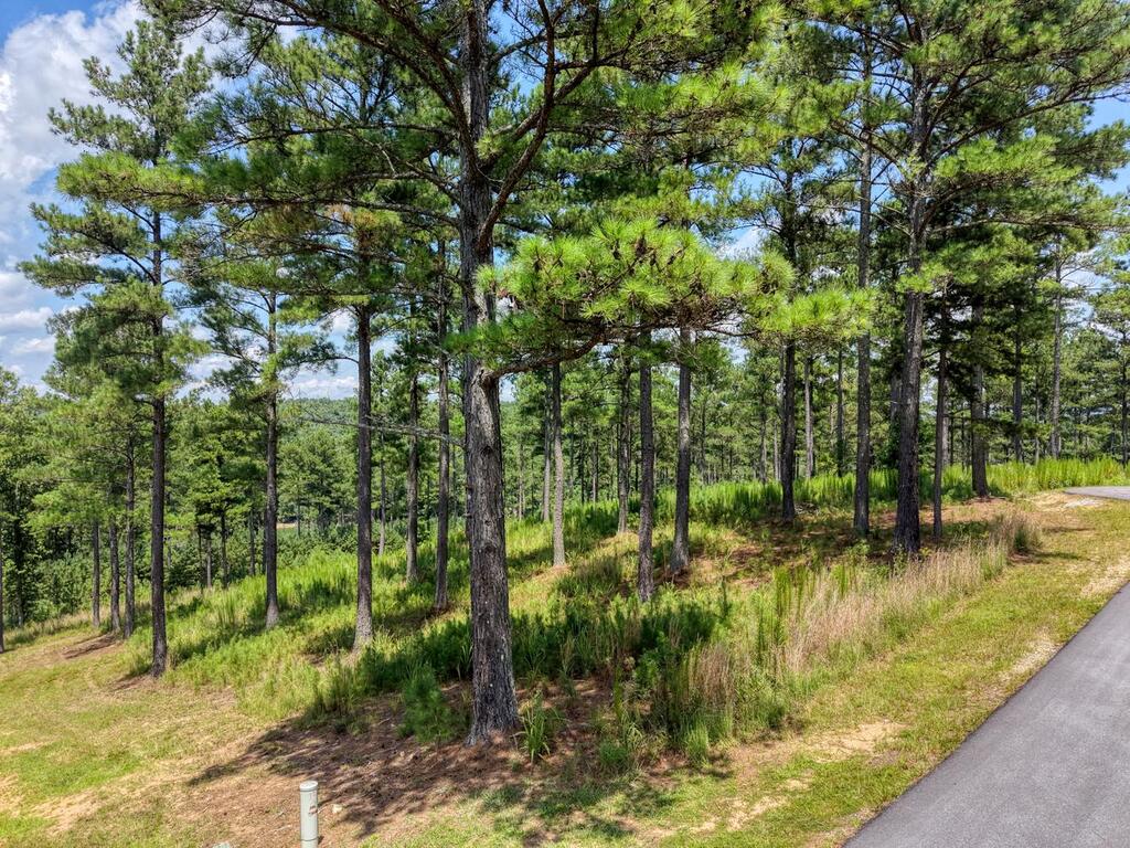 Lot 348 Loop Rise Blairsville, GA 30512 - Photo 8 of 30 Gallery Image 8
