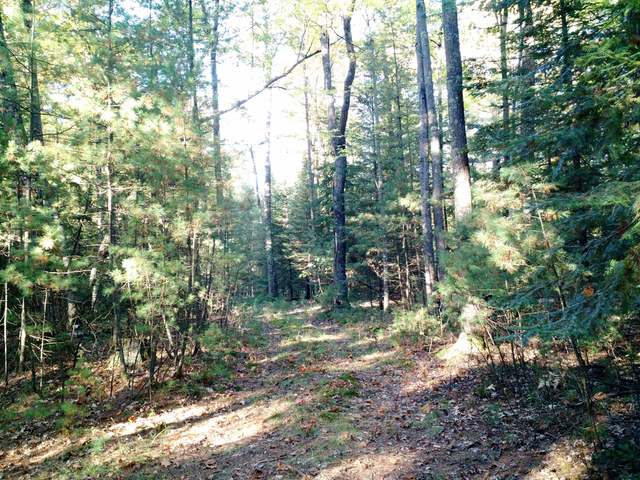 On Shields Road, Unit LOT 1 St. Germain, WI 54558 - Photo 5 of 20 Gallery Image 5